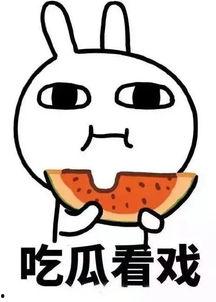 娱乐吃瓜酱工资,揭秘高薪背后的辛酸与荣耀